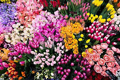 《博德之门3》1号迷你补丁日志发布 Steam峰值直逼60万