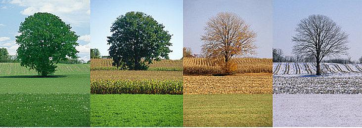 《英雄传说：黎之轨迹2》新宣传片 中文版年内发售