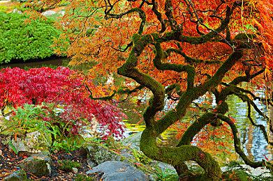 中世纪RTS《庄园领主》Steam体验版开启 建设城镇战争开拓